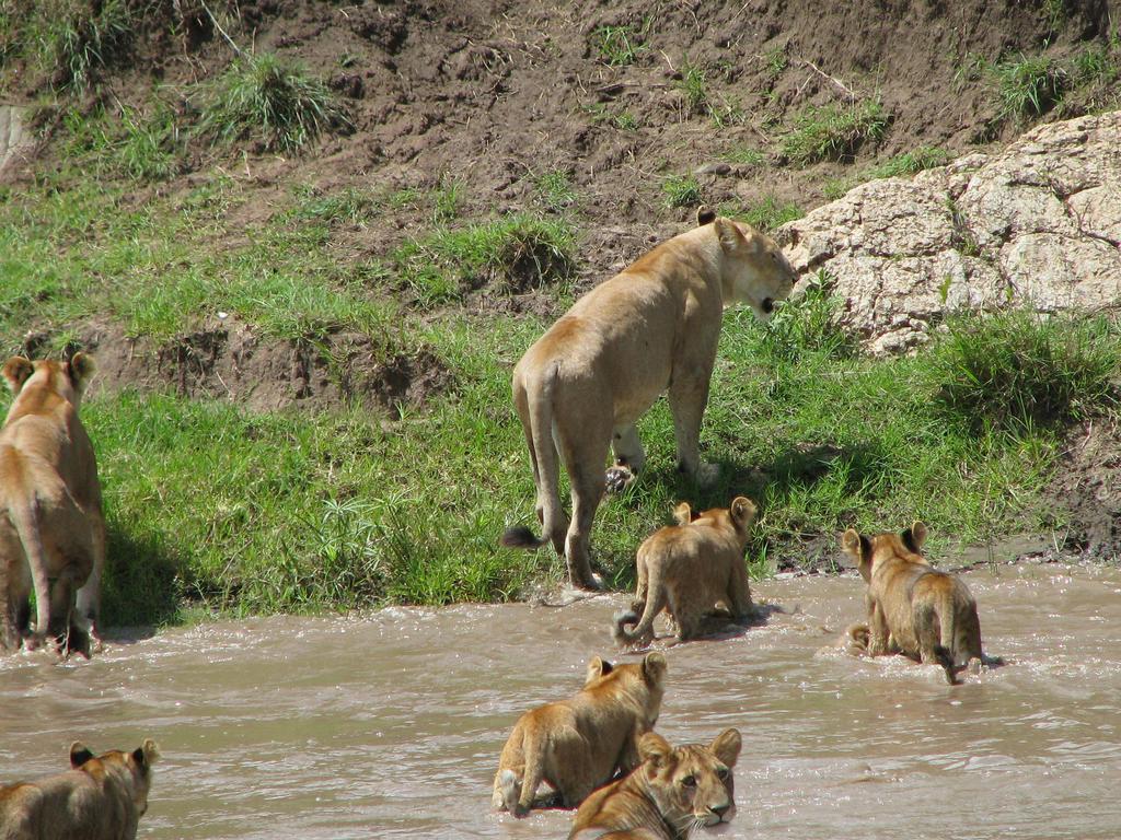 Maasai Simba Camp Hotel Amboseli Bagian luar foto