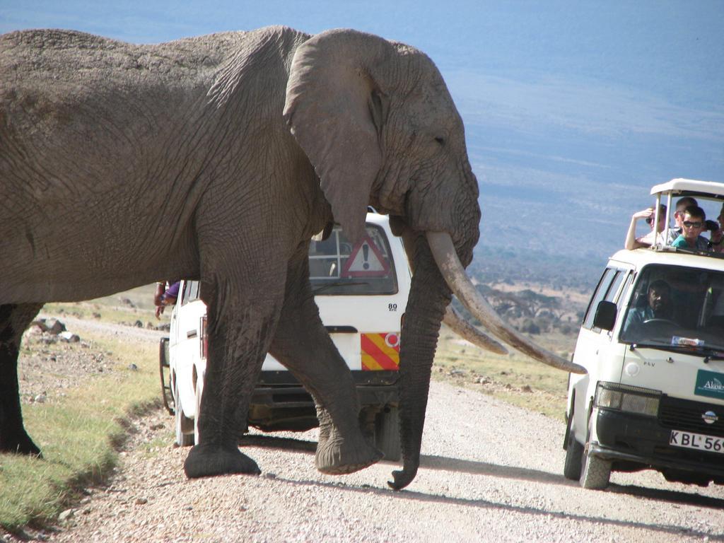 Maasai Simba Camp Hotel Amboseli Bagian luar foto